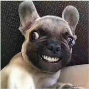 暴力魔坨的个人资料头像