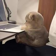 六月天103的个人资料头像