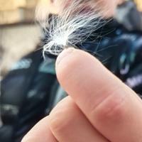 微微的茂茂头像