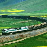 聪明的明月GU头像