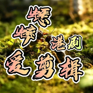 蟋蟀爱剪辑短剧（收学员）头像