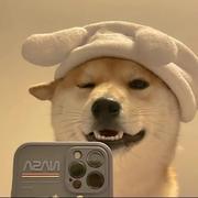 六金想暴富鸭的个人资料头像