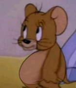 蛮结实的嘛的个人资料头像