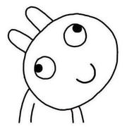 xintaofei的个人资料头像