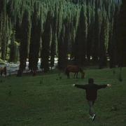 hb8686的个人资料头像