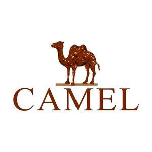 骆驼CAMEL服装旗舰店头像