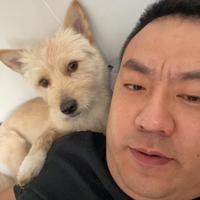 江湖人称水东流头像