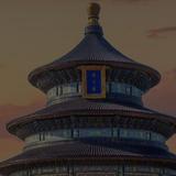无天海豚头像