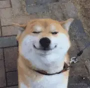 菜码一号的个人资料头像