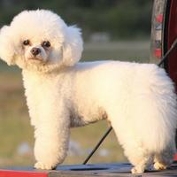 rrrrrrrrrrrrrrr6666头像