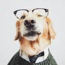 dBevil的个人资料头像