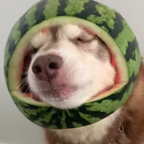 爱看小说的小墁头像