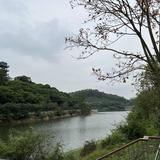 忠头像
