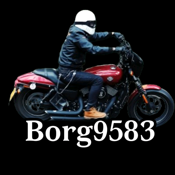 博摩borg9583头像