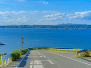 努力的及川彻的个人资料头像