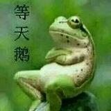 阿伦85416头像