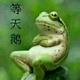阿伦85416头像