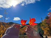 茜布的个人资料头像