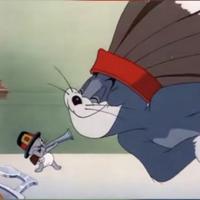 橙味儿的橘头像