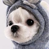 A1海天刀具  周文章 1381612头像