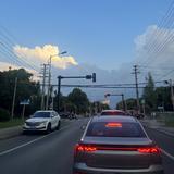 霸气的小野猪头像