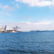 无_问_西_东的个人资料头像