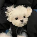 哈哈28536头像