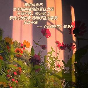 旻曦Daisy头像