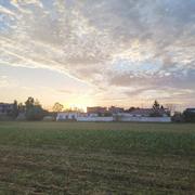 冯唐易老的个人资料头像