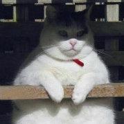 少侠闭关___的个人资料头像