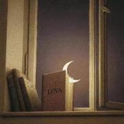 wzzz23的个人资料头像