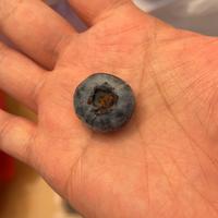 宁波林大师头像