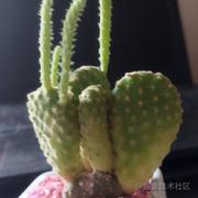 oldFarmer的个人资料头像