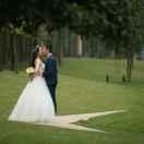 加灰猫的个人资料头像