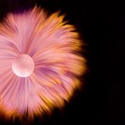 欢乐马866的个人资料头像