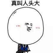 Function371的个人资料头像