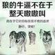 何必那麼头像