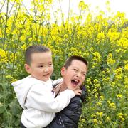 wngjin的个人资料头像