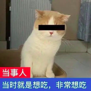 就是很想吃的个人资料头像