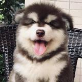 李绵绵26头像