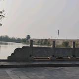 欢快露珠74C头像