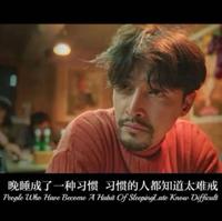 stray流浪_696头像