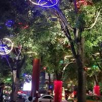 热爱大自然1966头像