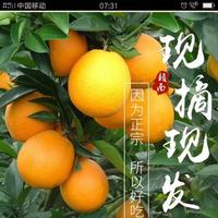 往事随风33235头像