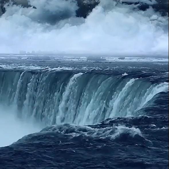 奔兔新能源头像