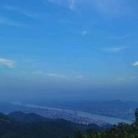 清爽奶茶ZR头像