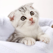 然觉的个人资料头像