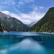 zhen210的个人资料头像