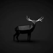 Dandy的个人资料头像