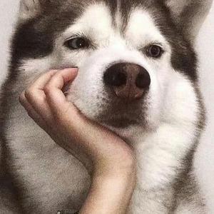小南纪录片头像